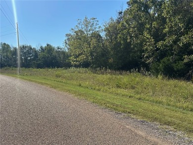 Serene 5-Acre m/l, Wooded Retreat with River Frontage! - photo 3
