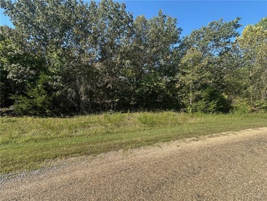 Serene 5-Acre m/l, Wooded Retreat with River Frontage! - photo 4