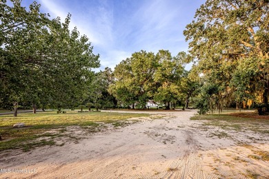 Gorgeous, centuries-old majestic oaks line these level, one-acre - photo 6