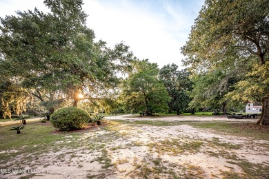 Gorgeous, centuries-old majestic oaks line these level, one-acre - photo 8