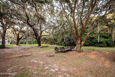 Gorgeous, centuries-old majestic oaks line these level, one-acre - photo 10