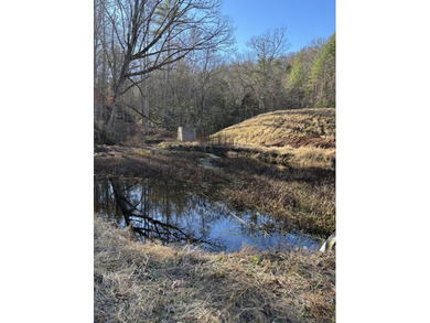 (private lake, pond, creek) Acreage For Sale in Farner Tennessee