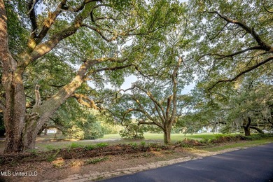 Gorgeous, centuries-old majestic oaks line these level, one-acre - photo 2