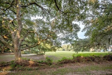 Gorgeous, centuries-old majestic oaks line these level, one-acre - photo 3