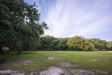 Gorgeous, centuries-old majestic oaks line these level, one-acre - photo 4