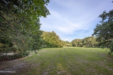 Gorgeous, centuries-old majestic oaks line these level, one-acre - photo 5