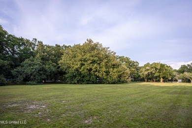 Gorgeous, centuries-old majestic oaks line these level, one-acre - photo 7