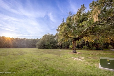 Gorgeous, centuries-old majestic oaks line these level, one-acre - photo 8