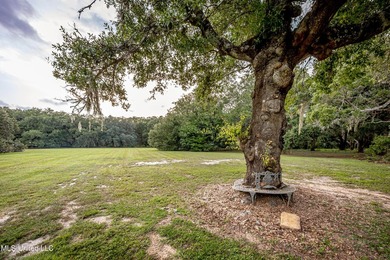 Gorgeous, centuries-old majestic oaks line these level, one-acre - photo 9