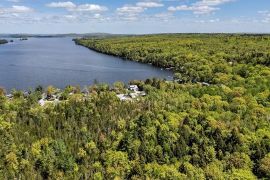 GREAT POND - Rare Family Compound with Year-Round Living on One