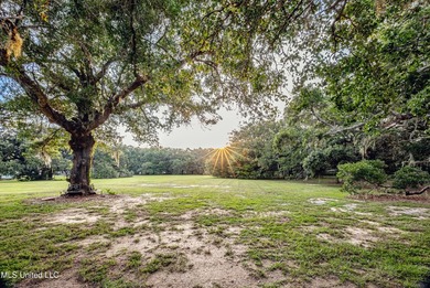 Gorgeous, centuries-old majestic oaks line these level, one-acre - photo 10