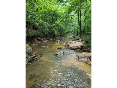 Lake Acreage For Sale in Pineville, Arkansas