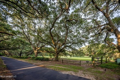Gorgeous, centuries-old majestic oaks line these level, one-acre - photo 1