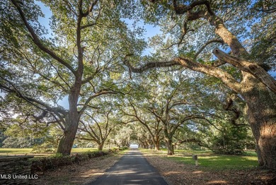 Gorgeous, centuries-old majestic oaks line these level, one-acre - photo 3