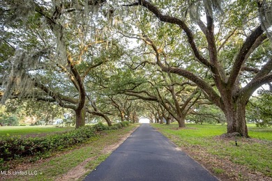 Gorgeous, centuries-old majestic oaks line these level, one-acre - photo 4
