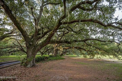 Gorgeous, centuries-old majestic oaks line these level, one-acre - photo 5