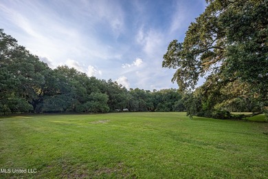 Gorgeous, centuries-old majestic oaks line these level, one-acre - photo 6