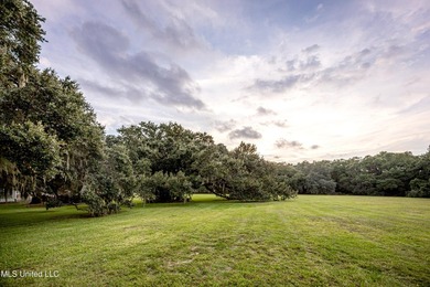 Gorgeous, centuries-old majestic oaks line these level, one-acre - photo 9