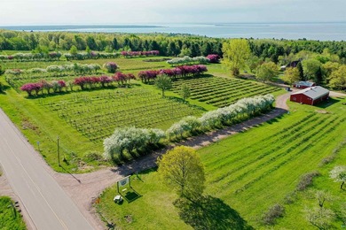 Blue Vista Farm, as this beloved property is known, presents an - photo 4