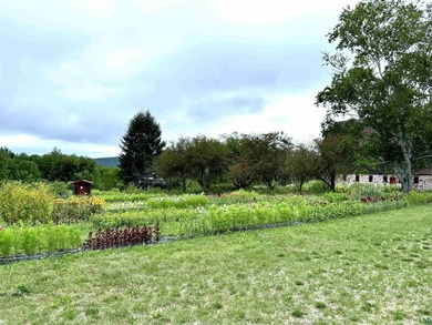 Blue Vista Farm, as this beloved property is known, presents an - photo 8