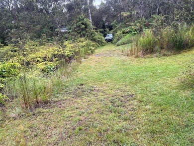 Nice wooded property at the end of the road; last parcel on the - photo 3