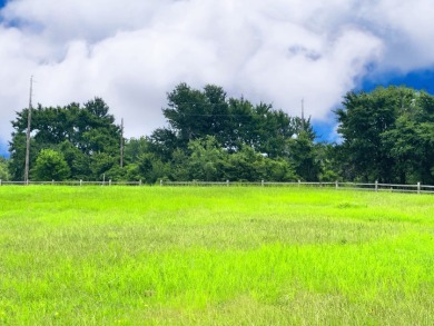 Big Texas Skies - Lakeside Homesite in Desired Subdivision - photo 15