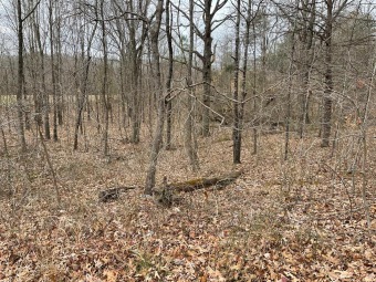 Lake Lot Off Market in Springville, Tennessee