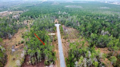 Dead Lake Lot For Sale in Wewahitchka Florida