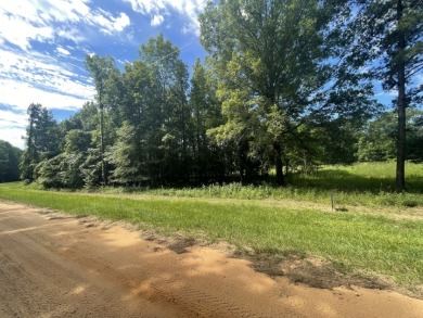 SOLD!!! Thank You Lord For Your Blessings!! SOLD - photo 3