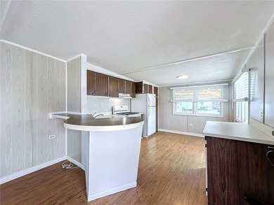 Located at 139 Gaslight Avenue, North Fort Myers, FL 33917, this - photo 11