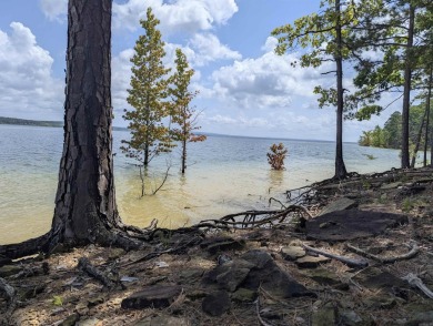 Greers Ferry Lake Lot For Sale in Quitman Arkansas