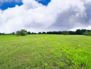 Big Texas Skies - Lakeside Homesite in Desired Subdivision - photo 3