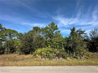 Lehigh Acres Area Lot For Sale in Lehigh Acres Florida