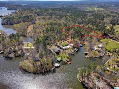 CHECK OUT THIS AMAZING VIEW 3 acres on Lay Lake for you to build - photo 1