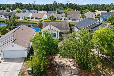 Along a beautiful tree-lined street in the heart of Avalon - photo 41