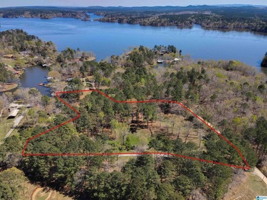 CHECK OUT THIS AMAZING VIEW 3 acres on Lay Lake for you to build - photo 2