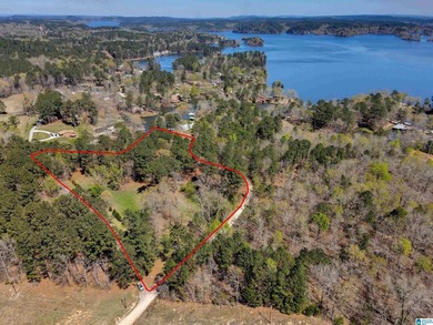 CHECK OUT THIS AMAZING VIEW 3 acres on Lay Lake for you to build - photo 3