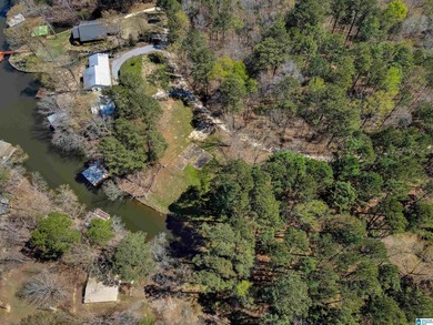 CHECK OUT THIS AMAZING VIEW 3 acres on Lay Lake for you to build - photo 7