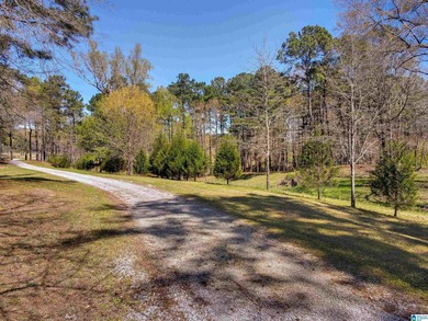 CHECK OUT THIS AMAZING VIEW 3 acres on Lay Lake for you to build - photo 8
