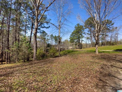 CHECK OUT THIS AMAZING VIEW 3 acres on Lay Lake for you to build - photo 9
