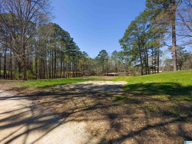 CHECK OUT THIS AMAZING VIEW 3 acres on Lay Lake for you to build - photo 10