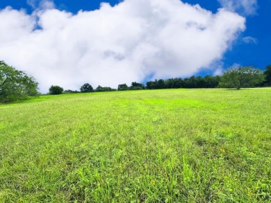 Big Texas Skies - Lakeside Homesite in Desired Subdivision - photo 4