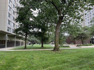 Lake Michigan - Cook County Home Sale Pending in Chicago Illinois