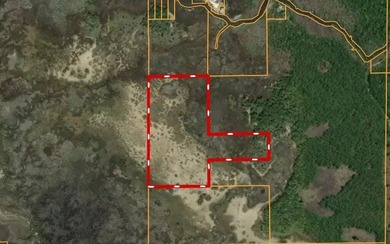 Landlocked property located in Taylor County. Property is 22.5 - photo 4
