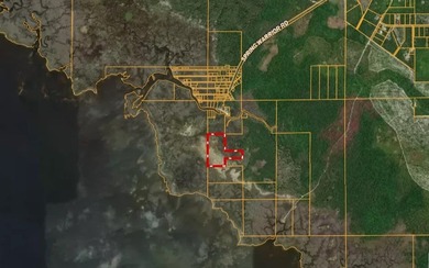 Landlocked property located in Taylor County. Property is 22.5 - photo 5
