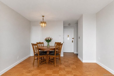 Move right into this sun-filled 15th-floor one-bedroom apartment - photo 4
