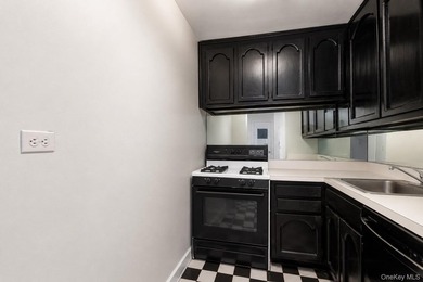 Move right into this sun-filled 15th-floor one-bedroom apartment - photo 5