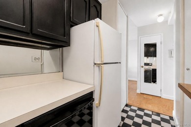Move right into this sun-filled 15th-floor one-bedroom apartment - photo 6