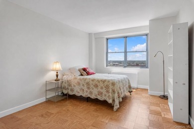 Move right into this sun-filled 15th-floor one-bedroom apartment - photo 7
