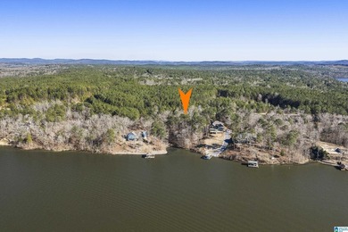 CALL YOUR BUILDER, LAY LAKE MAIN CHANNEL LOT! Secure this rare - photo 12